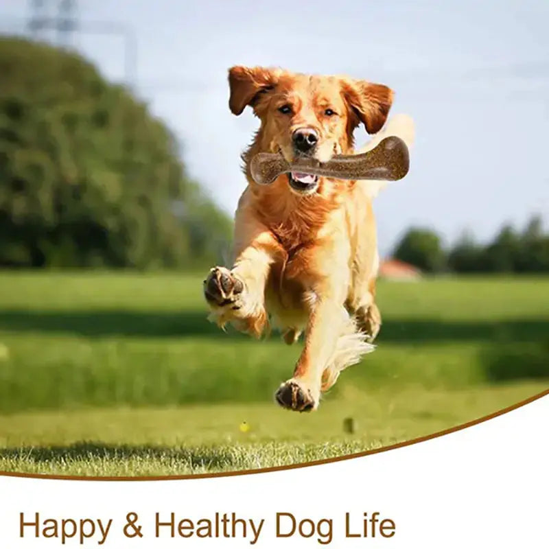 Dog chew toys bone GLR SHOPPING