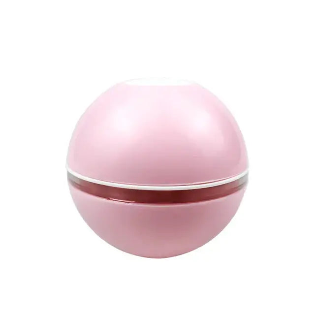 Pet Induction Interactive Toy GLR SHOPPING