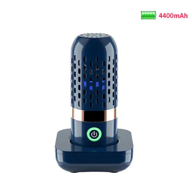 Vegetable Disinfection Machine GLR SHOPPING