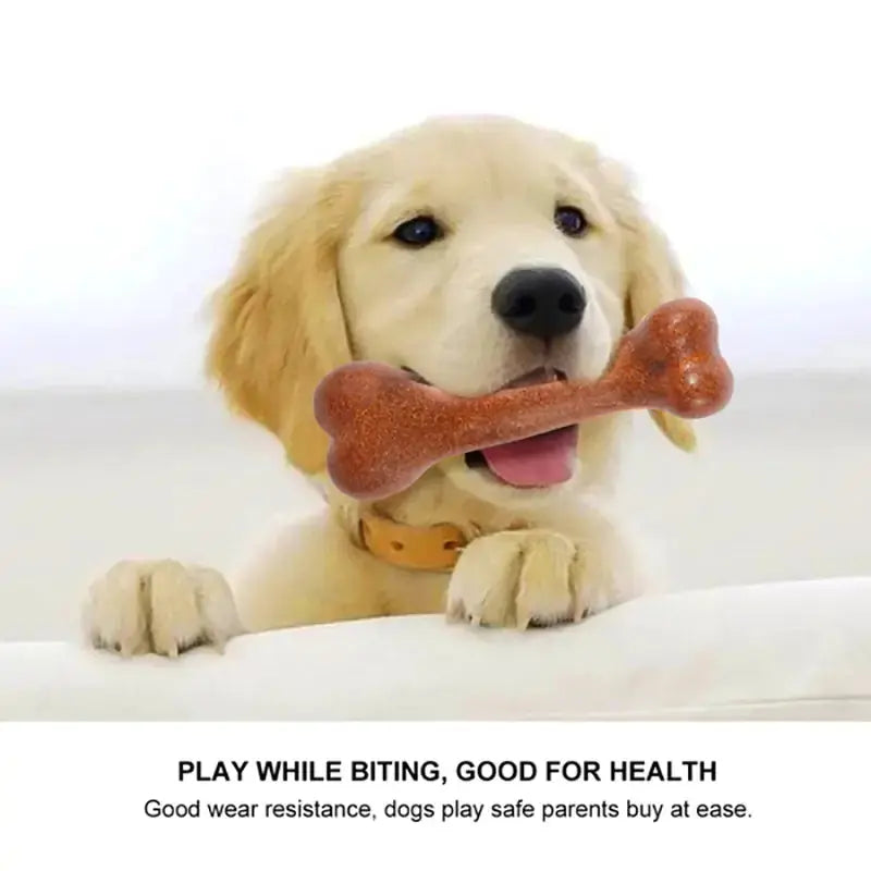 Dog chew toys bone GLR SHOPPING