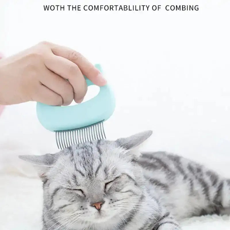 Pet Massage Comb GLR SHOPPING