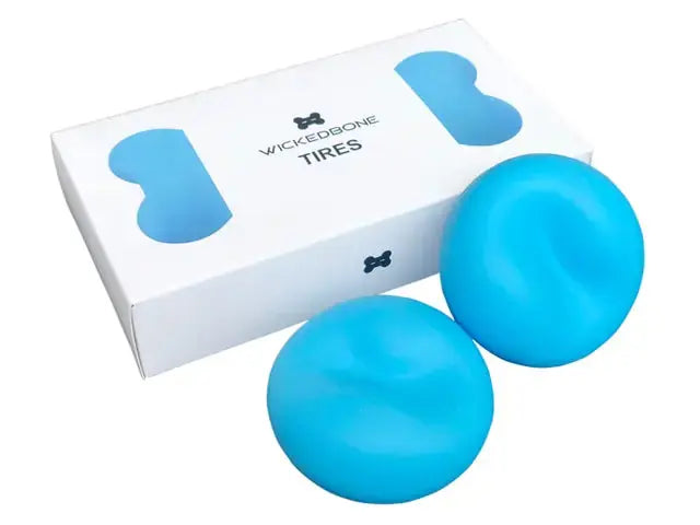 Pet Induction Interactive Toy GLR SHOPPING
