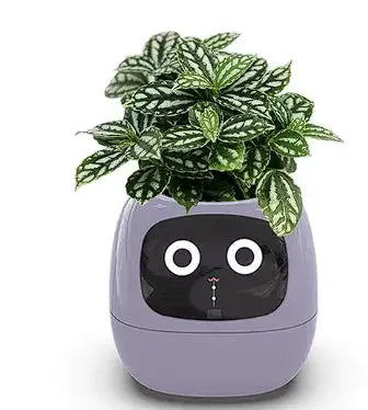 AI Botanical Buddy GLR SHOPPING