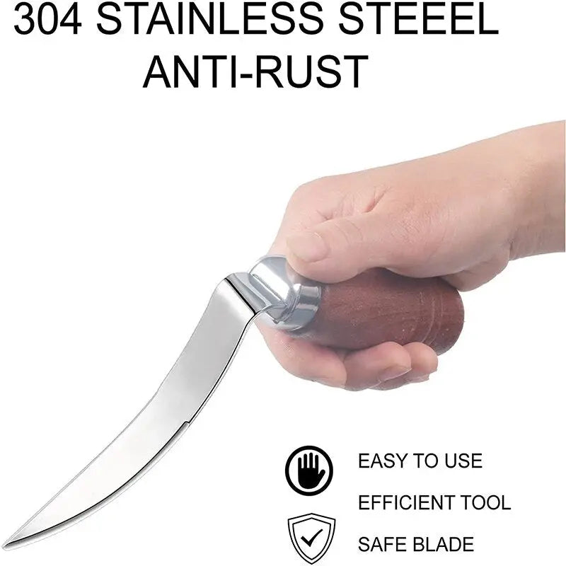 Stainless Steel Coconut Meat Remover - GLR SHOPPING