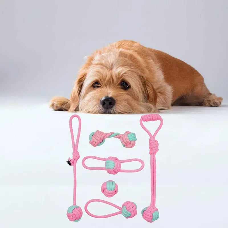 Pet Dog Chew Toys - GLR SHOPPING