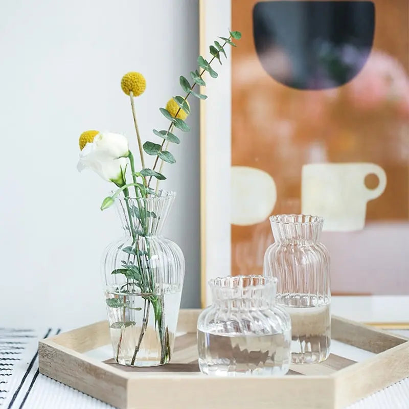 Transparent Flower Vase - GLR SHOPPING