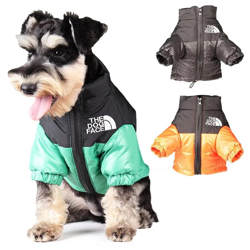 Warm Fashionable Dog Jackets - GLR SHOPPING