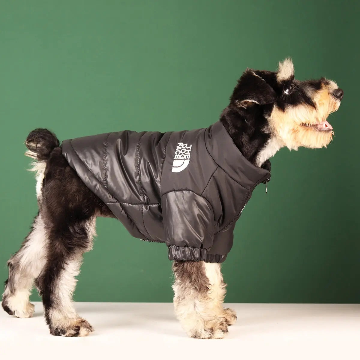 Warm Fashionable Dog Jackets - GLR SHOPPING