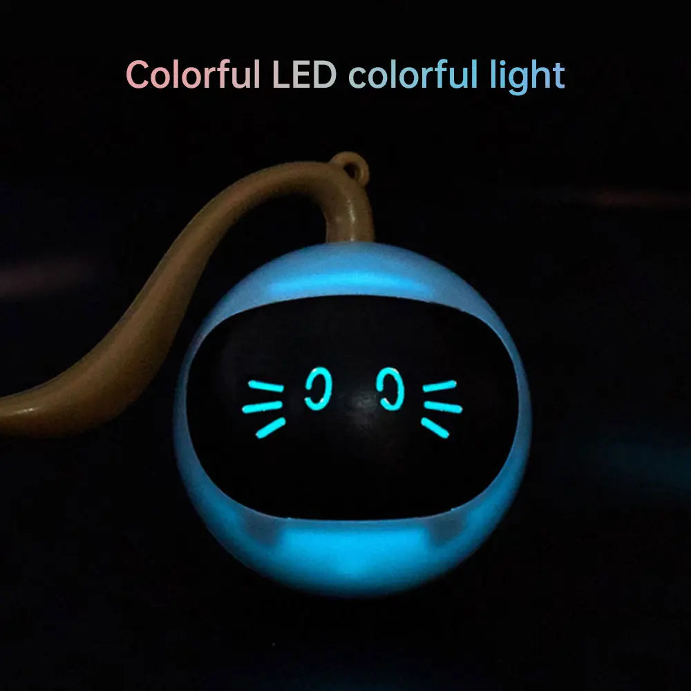 Kitten Electronic Ball - GLR SHOPPING