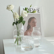 Transparent Flower Vase - GLR SHOPPING