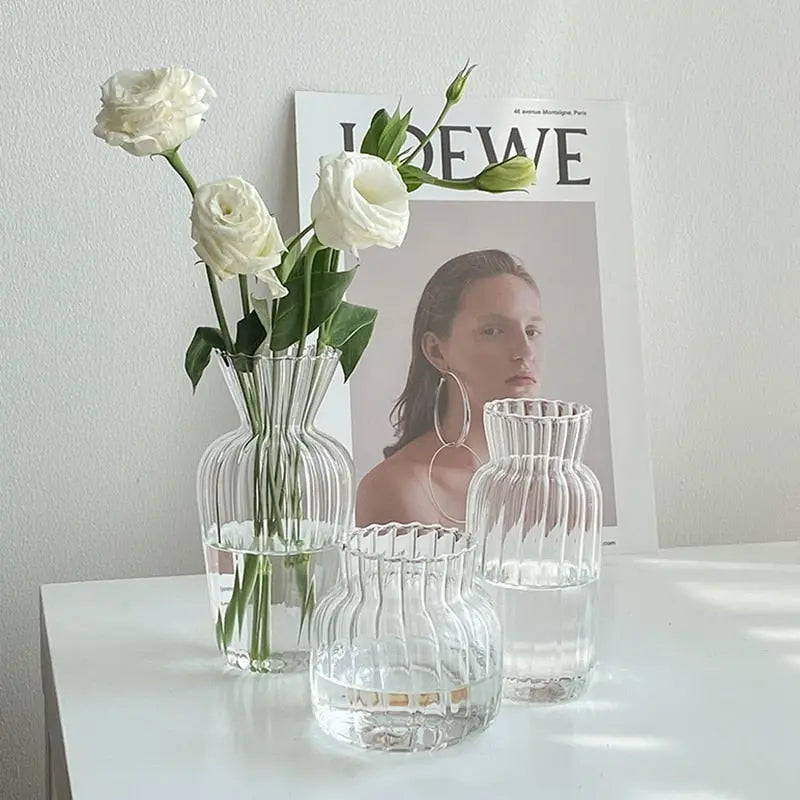 Transparent Flower Vase - GLR SHOPPING