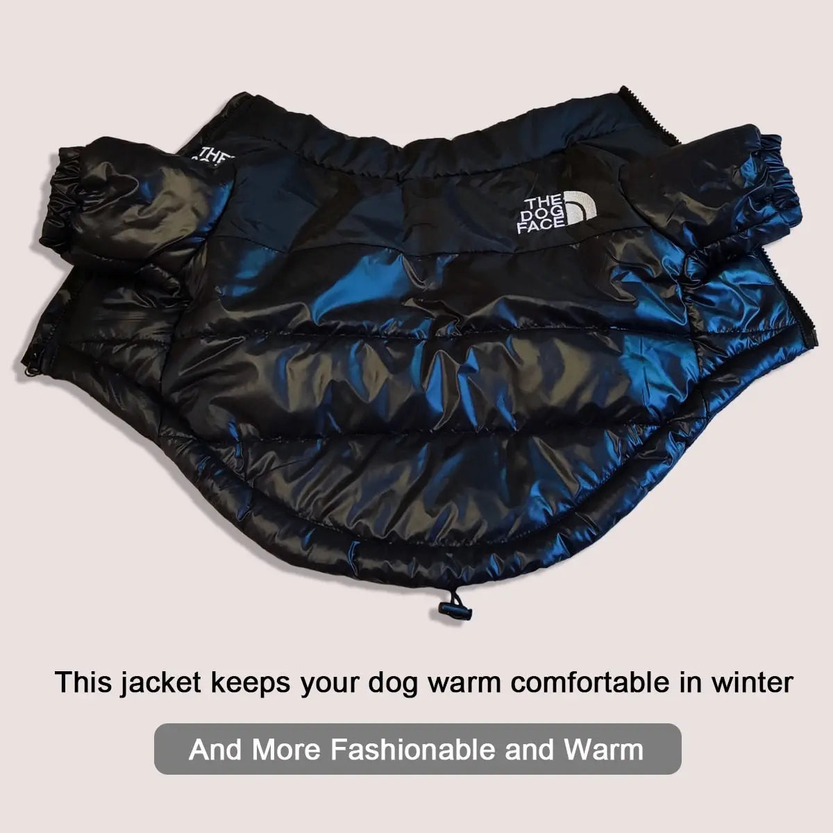 Warm Fashionable Dog Jackets - GLR SHOPPING