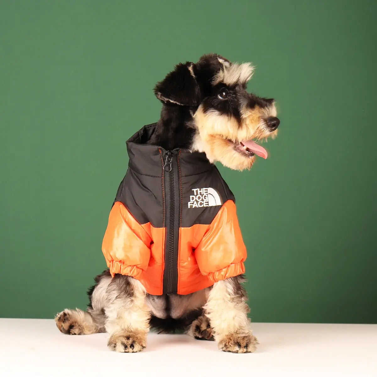 Warm Fashionable Dog Jackets - GLR SHOPPING