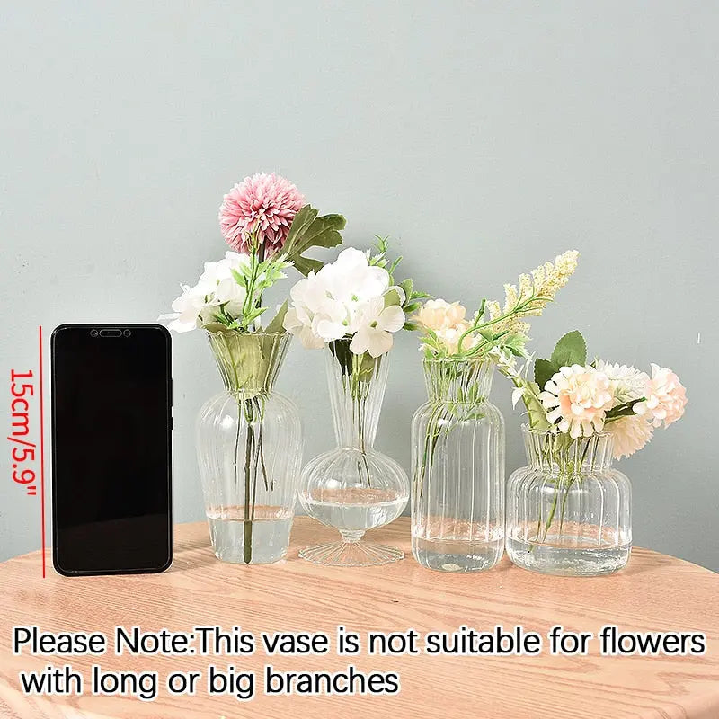 Transparent Flower Vase - GLR SHOPPING