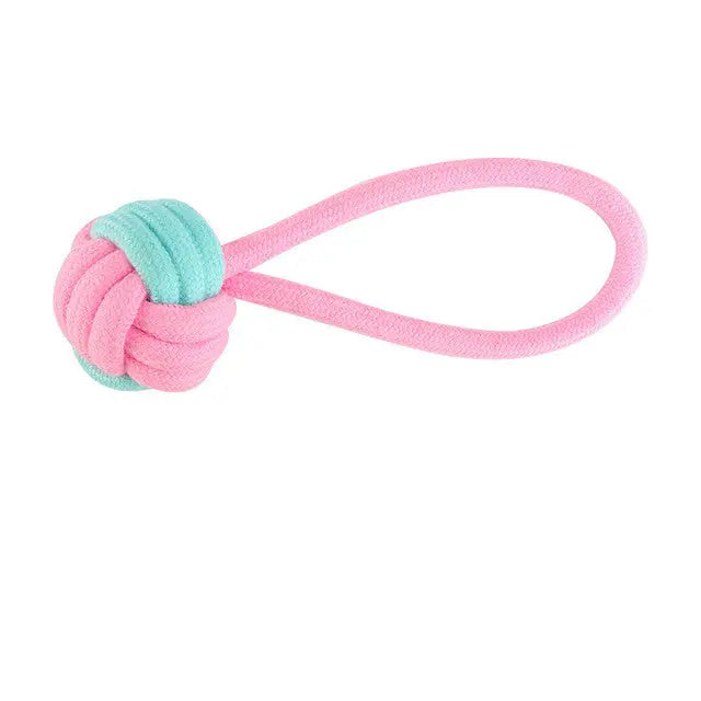Pet Dog Chew Toys - GLR SHOPPING