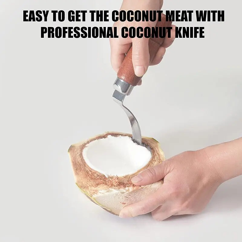 Stainless Steel Coconut Meat Remover - GLR SHOPPING