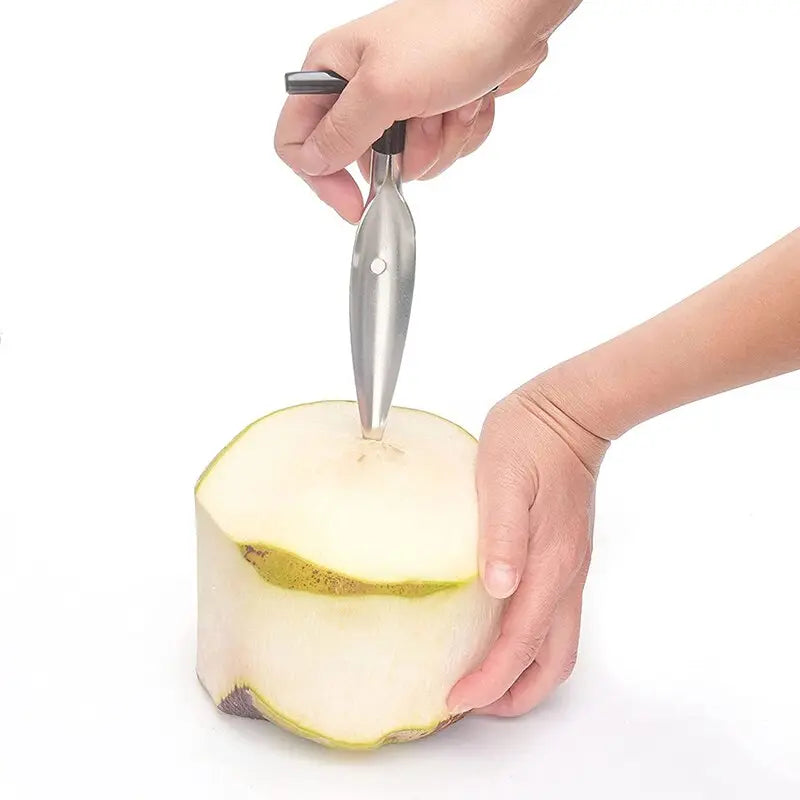 Stainless Steel Coconut Meat Remover - GLR SHOPPING