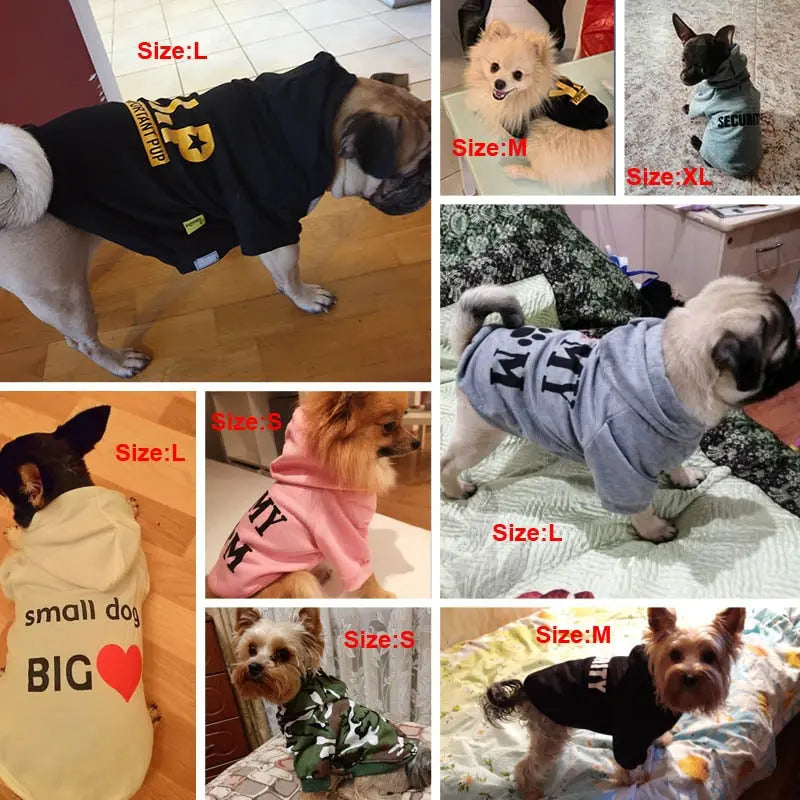 Fun Dog Clothes - GLR SHOPPING