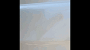Car Body Compound Scratch Remover - GLR SHOPPING
