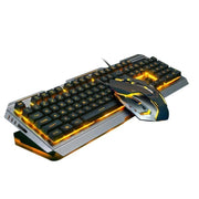 Ninja Dragons Tungsten Gold Metal Frame Gaming Keyboard and Mouse Set - GLR SHOPPING