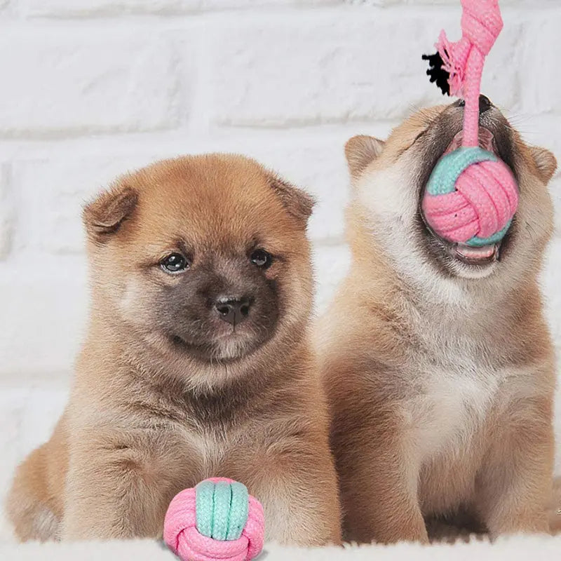 Pet Dog Chew Toys - GLR SHOPPING