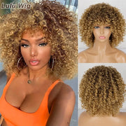 Afro Kinky Curly Wig - GLR SHOPPING