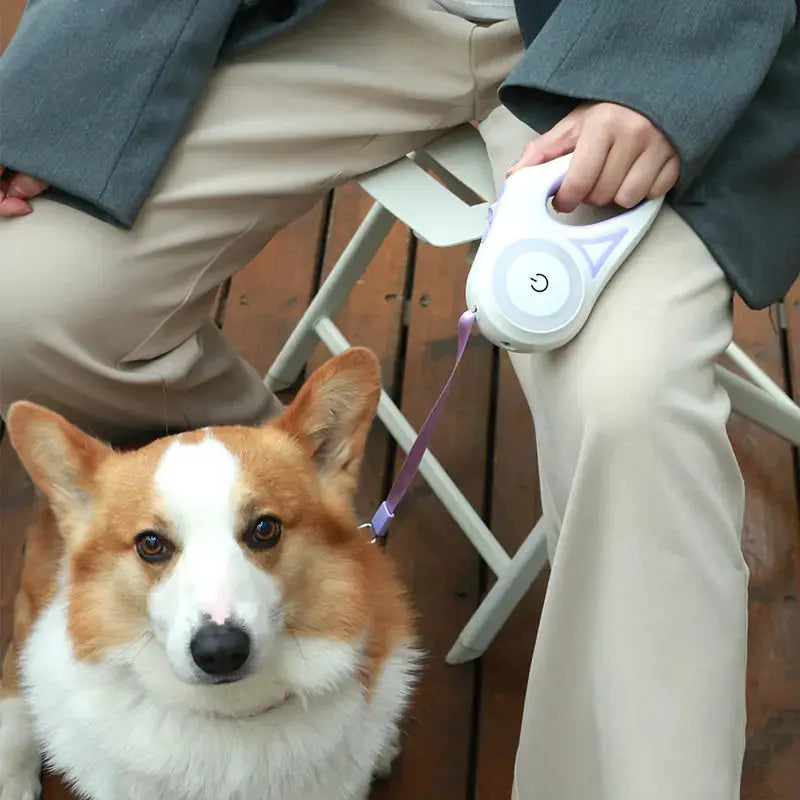 Led Lights Dog Leash GLR SHOPPING