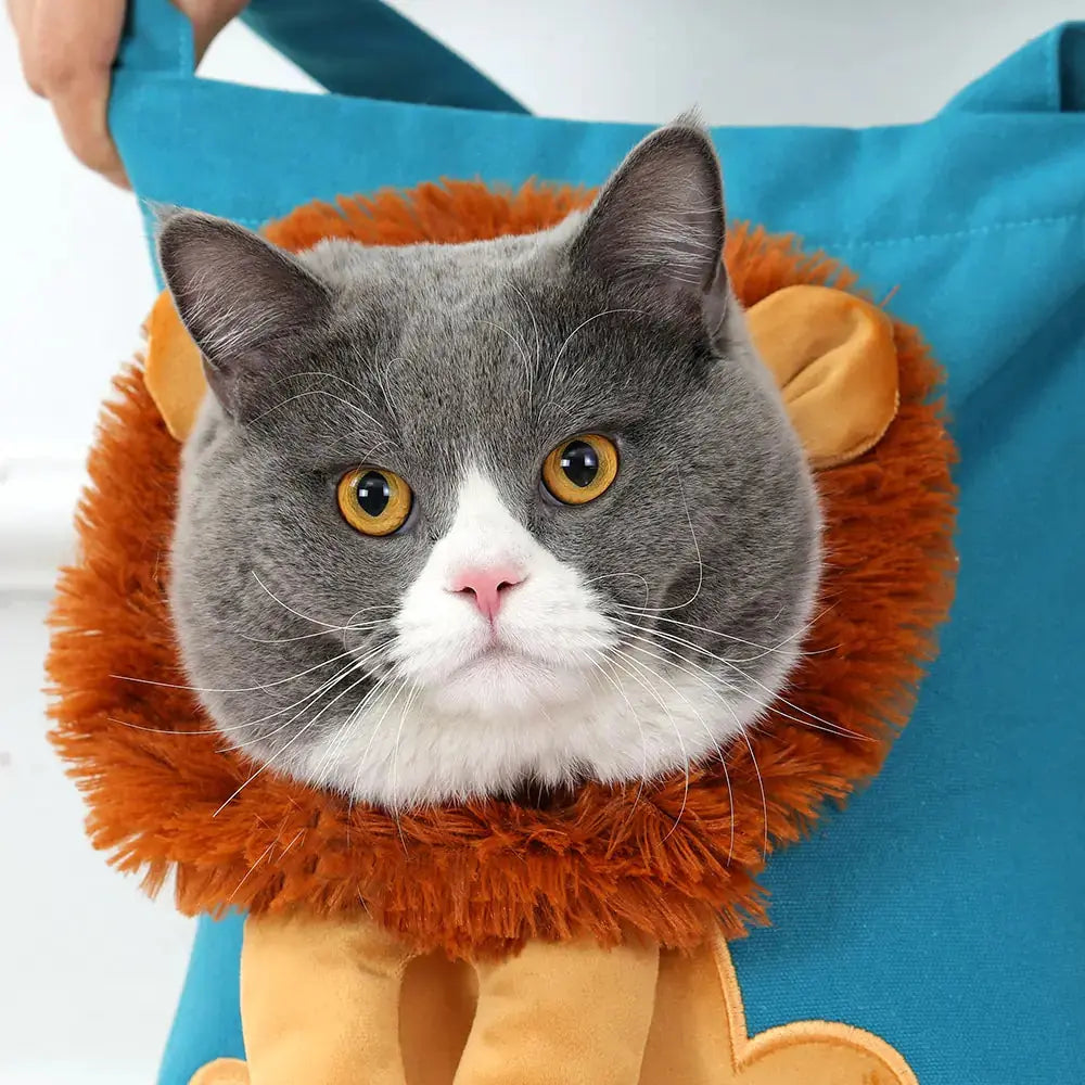 Soft Breathable Bag Pet Carriers - GLR SHOPPING